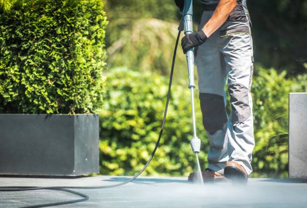 Best Animal Enclosure Cleaning  in Proctor, MN