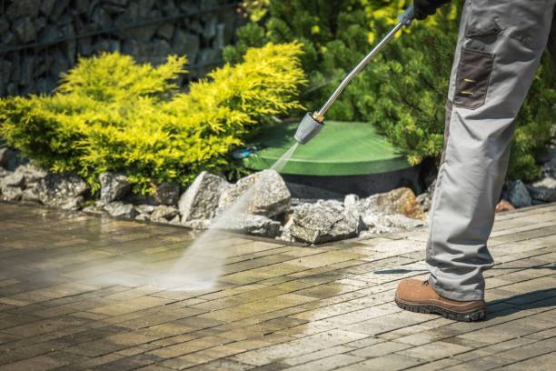 Best Solar Panel Cleaning  in Proctor, MN