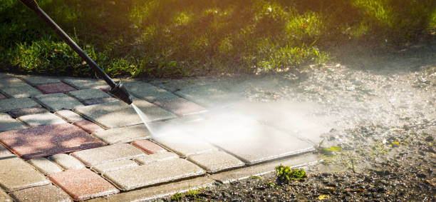 Best Sidewalk and Walkway Cleaning  in Proctor, MN